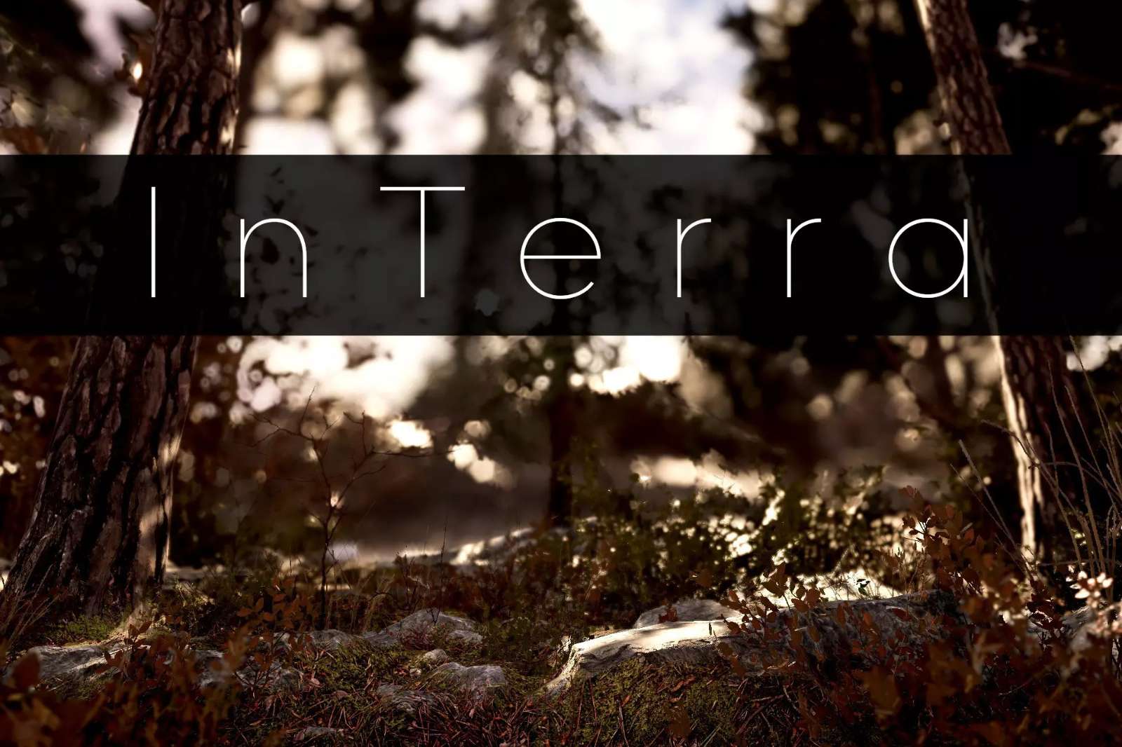 InTerra ~ Shaders for Terrain & its Objects 3.3.0 地形