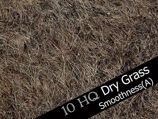 Dry Grass and Mud Photo-Texture 1.0纹理
