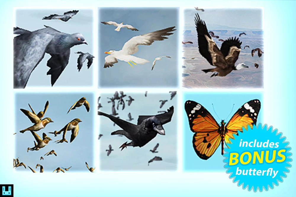 Bird Flock Bundle 2.4.2 蝴蝶秃鹰海鸥鸽子鸟类模型