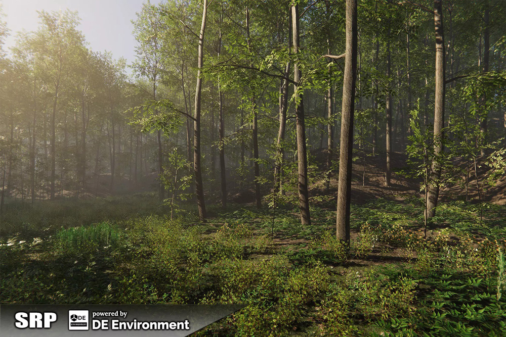 Nature Package - Forest Environment 1.4 美丽的森林环境