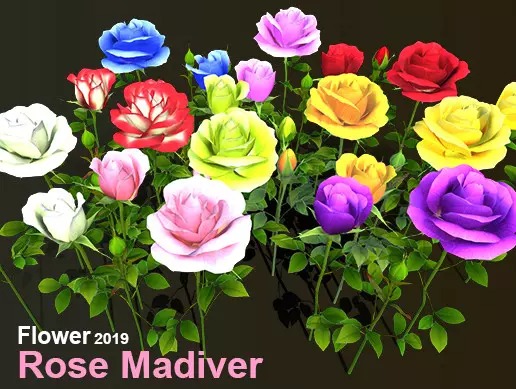 Flower Rose Madiver 1.0 高质量写实花朵模型