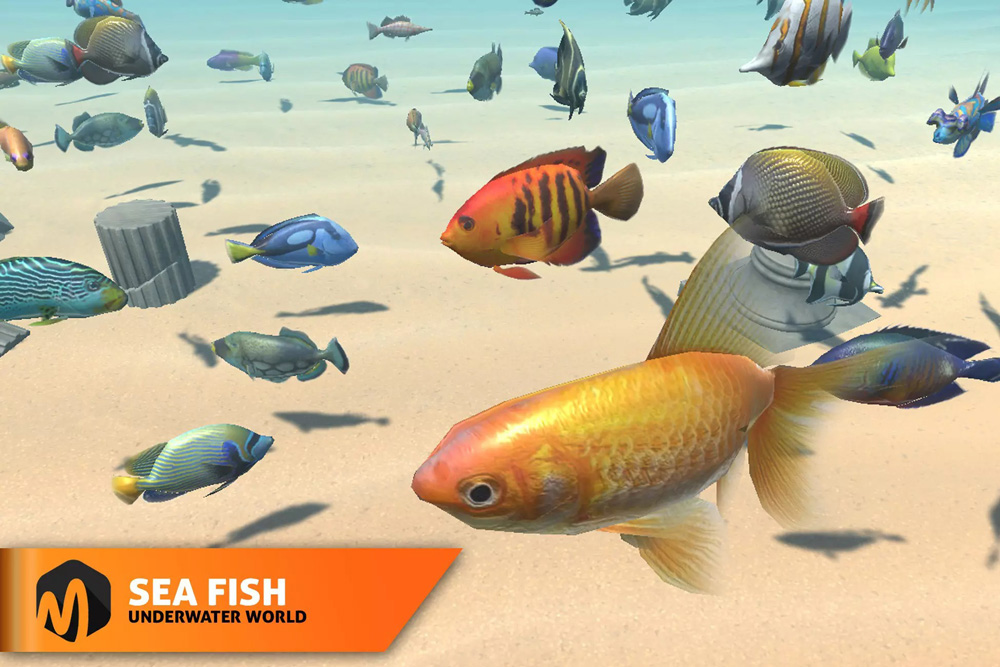 Sea fish - underwater world 1.0 海洋鱼群动画模型