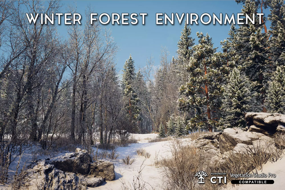 Winter Forest Environment  1.1.2          冬季冰雪地森林环境场景