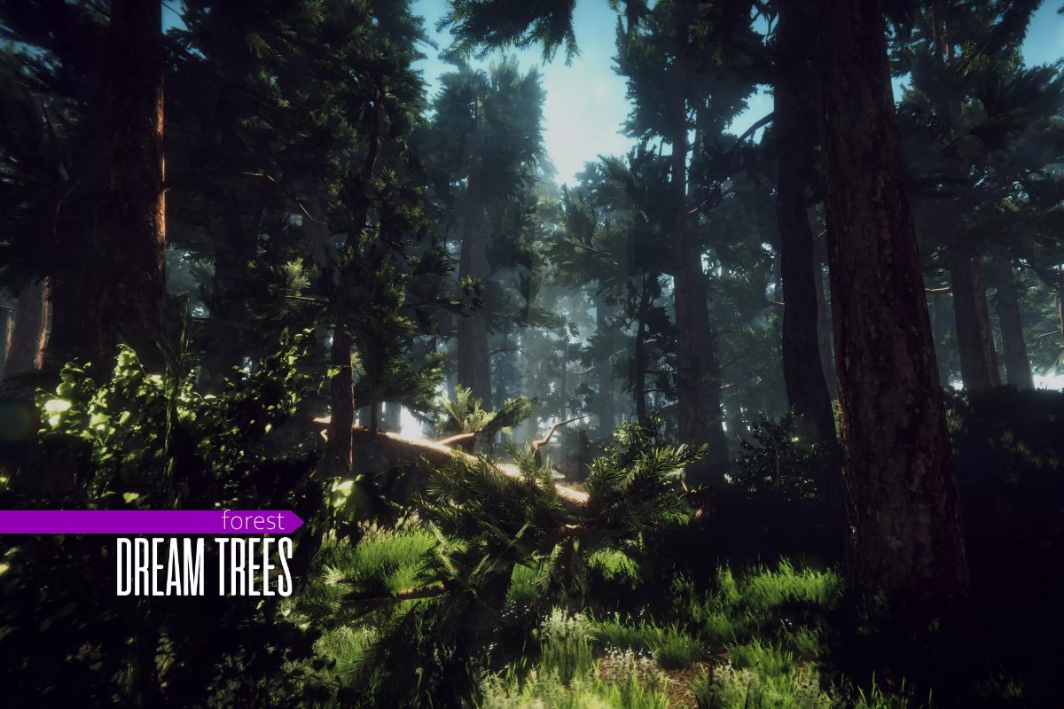 Dream Forest Tree 1.4    写实梦幻森林树木场景