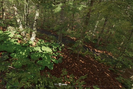 Beech Forest Ecosystem 1.0.0      森林生态系统