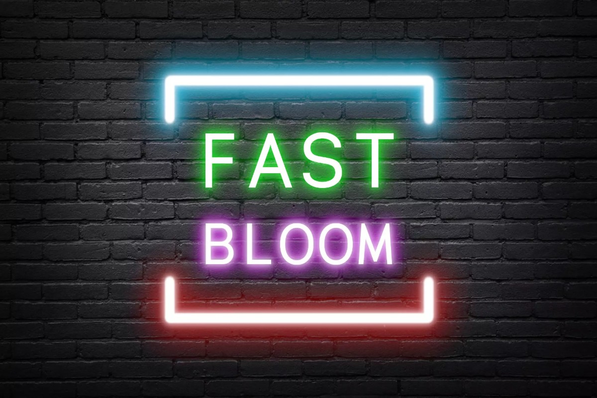 Fast Bloom ( Mobile , URP , VR , AR , Default Pipeline ) 1.6.2